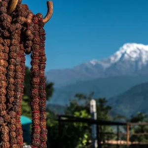 Qui eiusmod recusand thumb 0